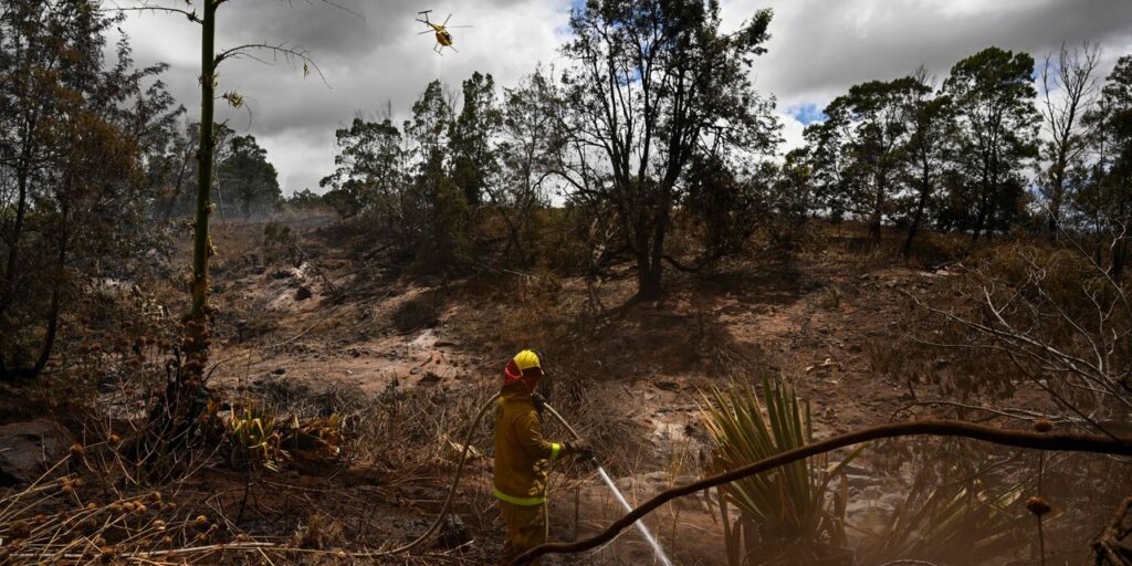 Hawaii Electric Inventory sinks 41%.  The analyst says the Maui wildfires are a risk to stocks.