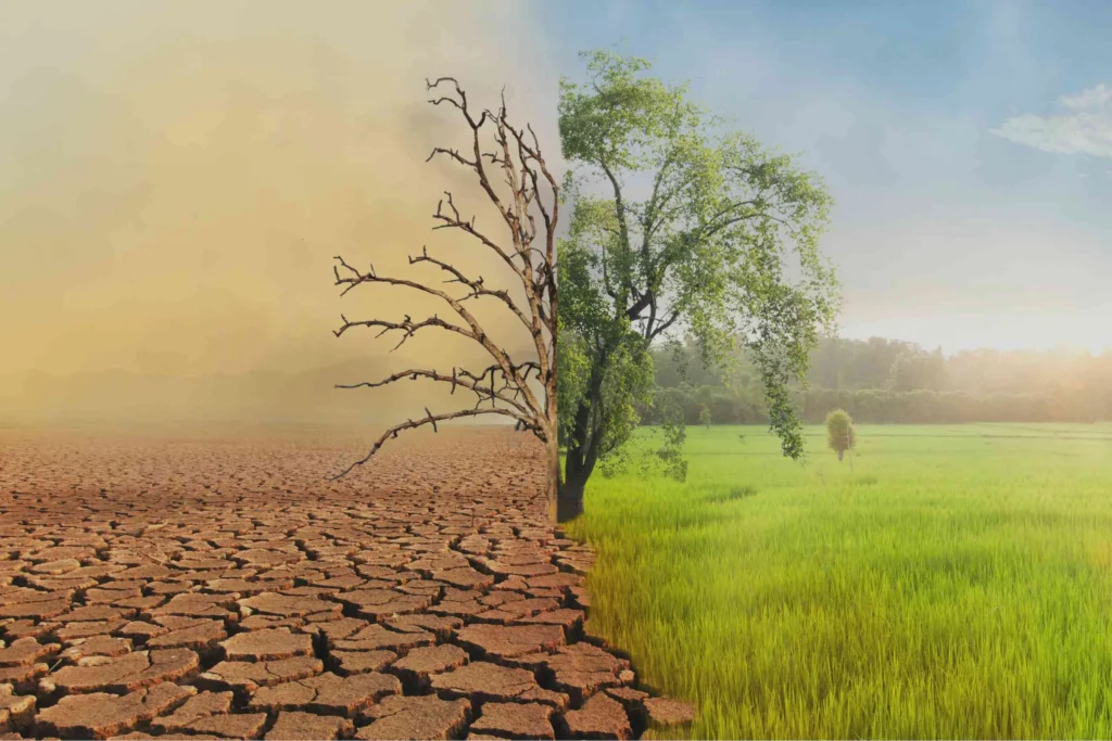 Climate Change on Global Agriculture