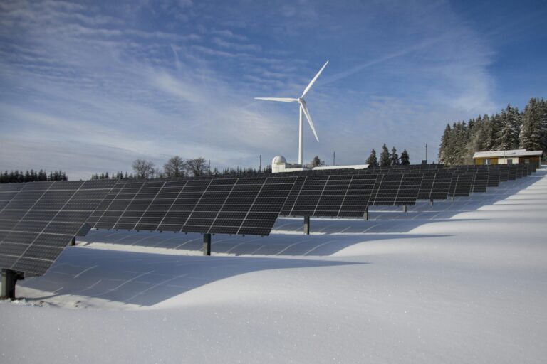 The Rise of Green Tech: How Sustainability Is Driving Business Growth Worldwide